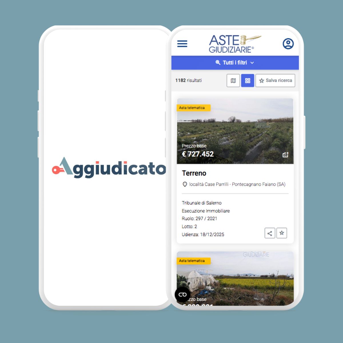 Gestionale per aste vs portali ministeriali: qual è a differenza?